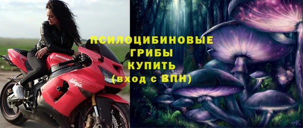 спиды Алзамай