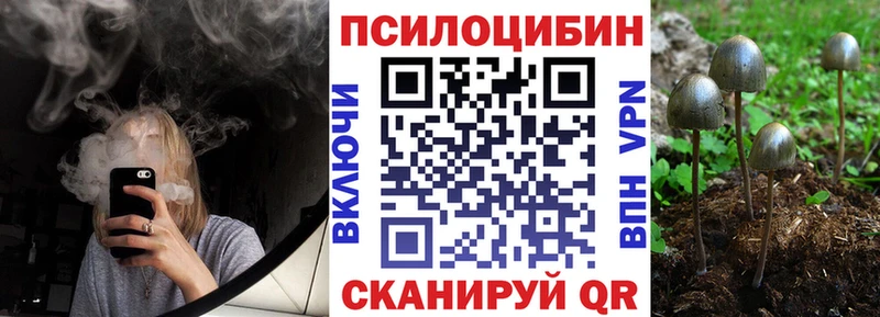 omg онион  купить наркоту  Томари  Галлюциногенные грибы мухоморы 